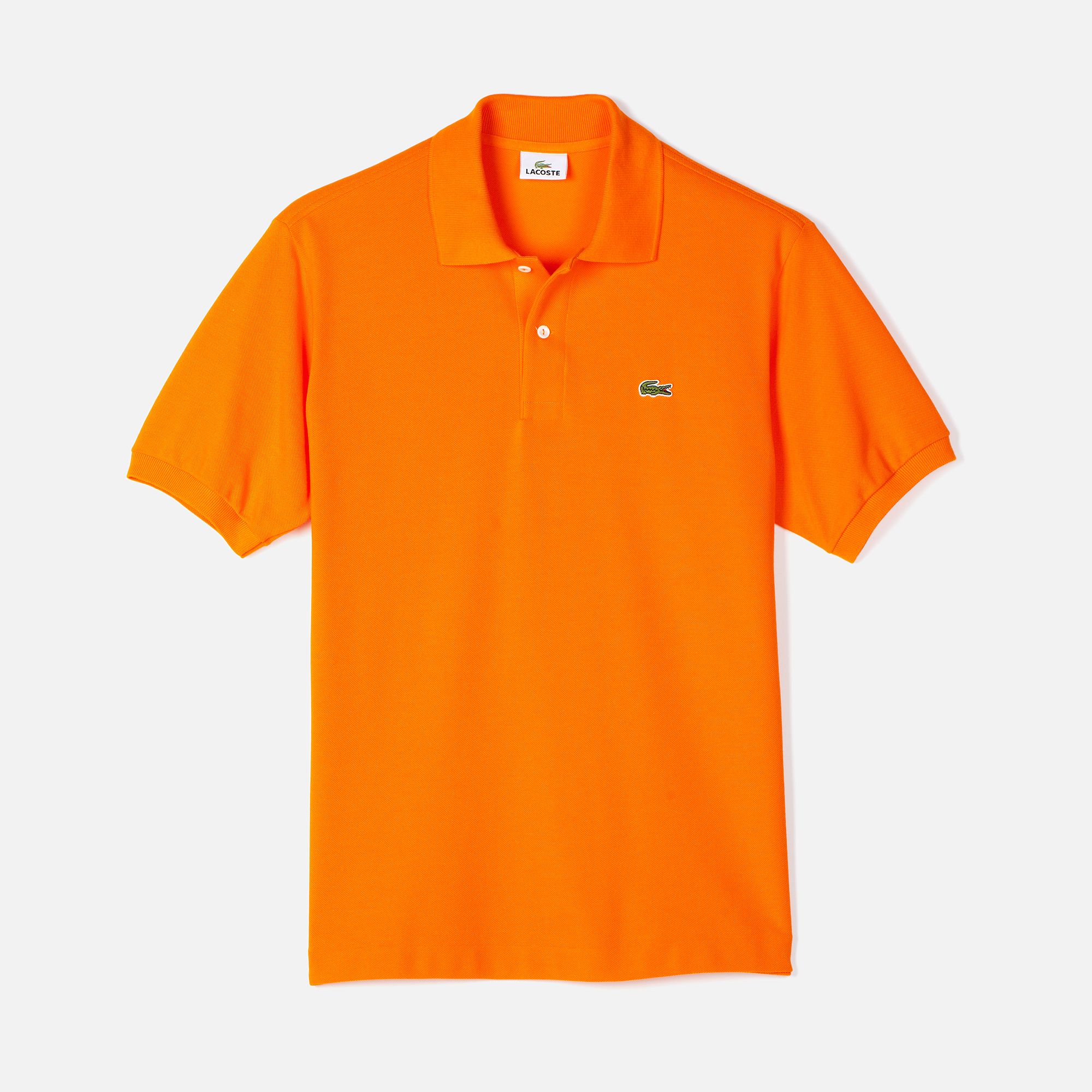 ORANGE TREE
