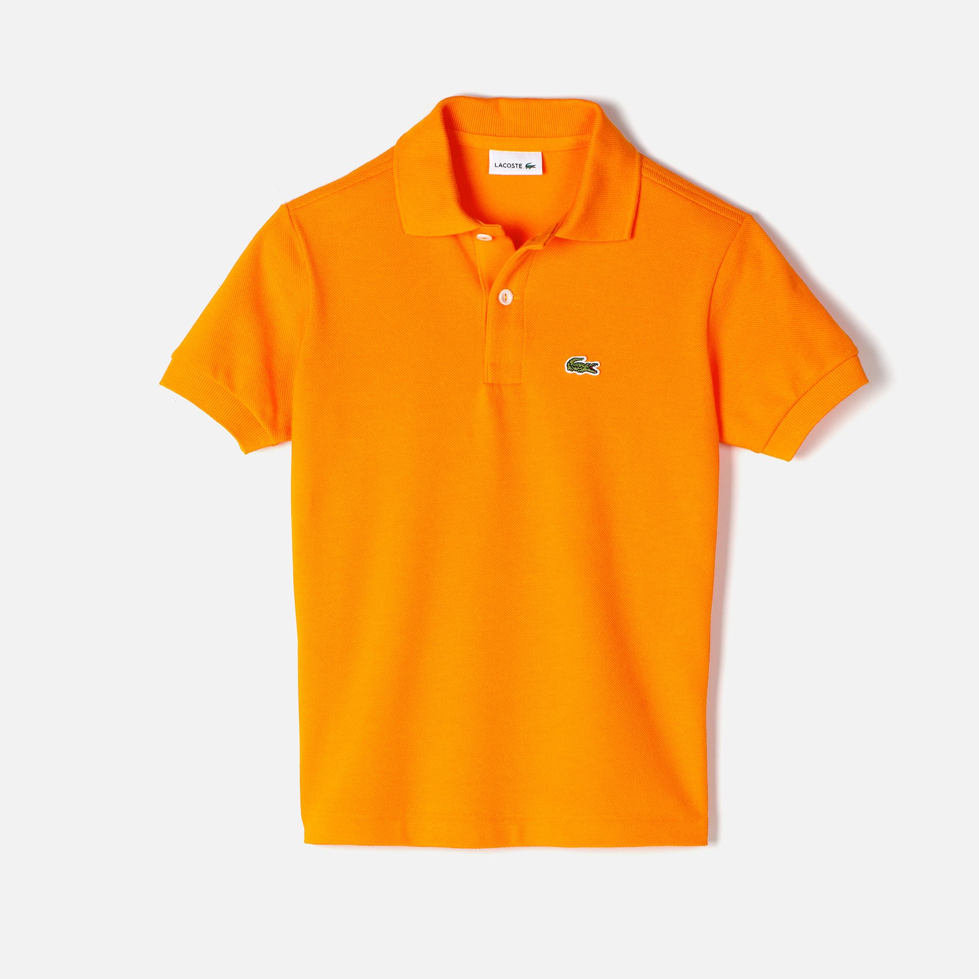 ORANGE TREE
