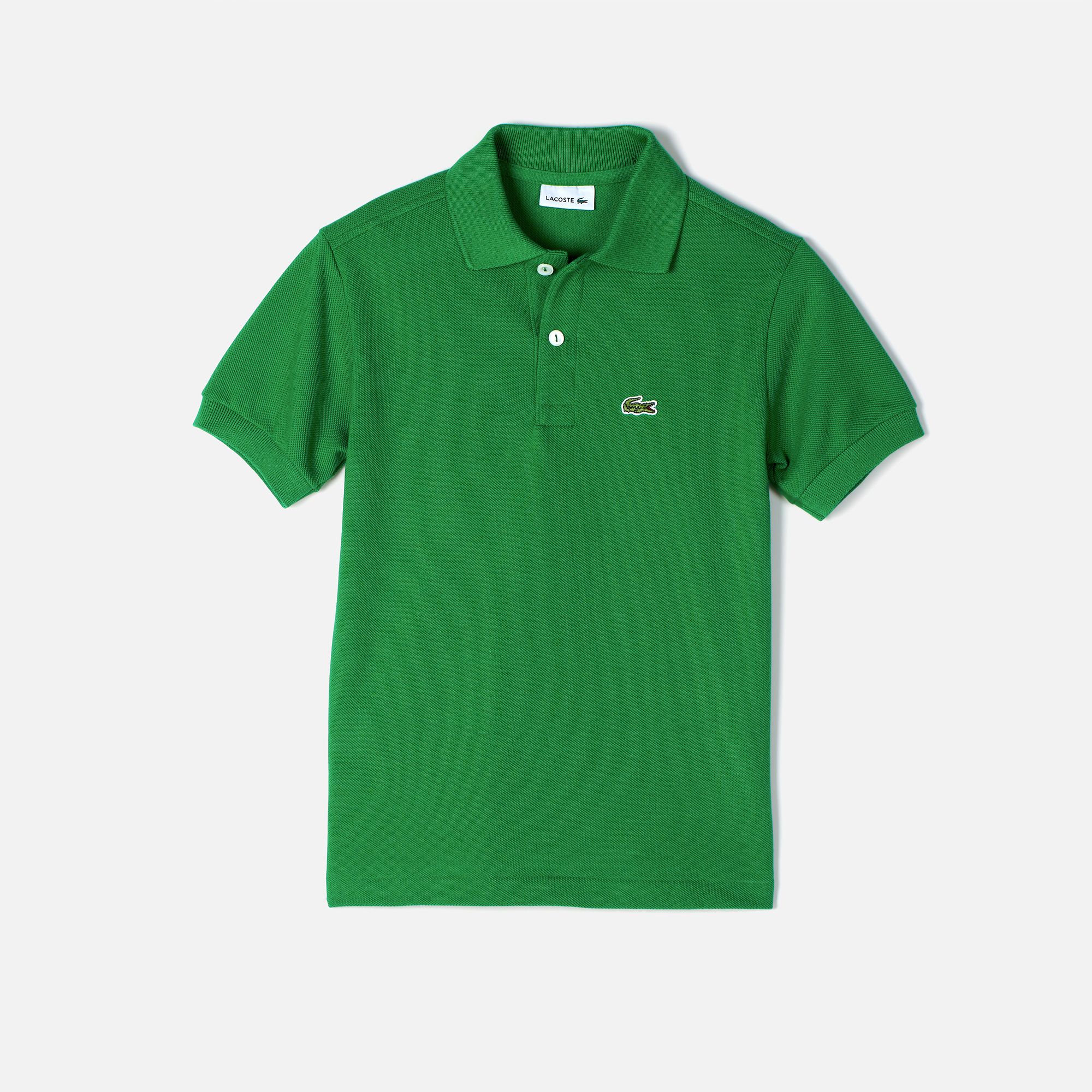 CHLOROPHYLLE GREEN