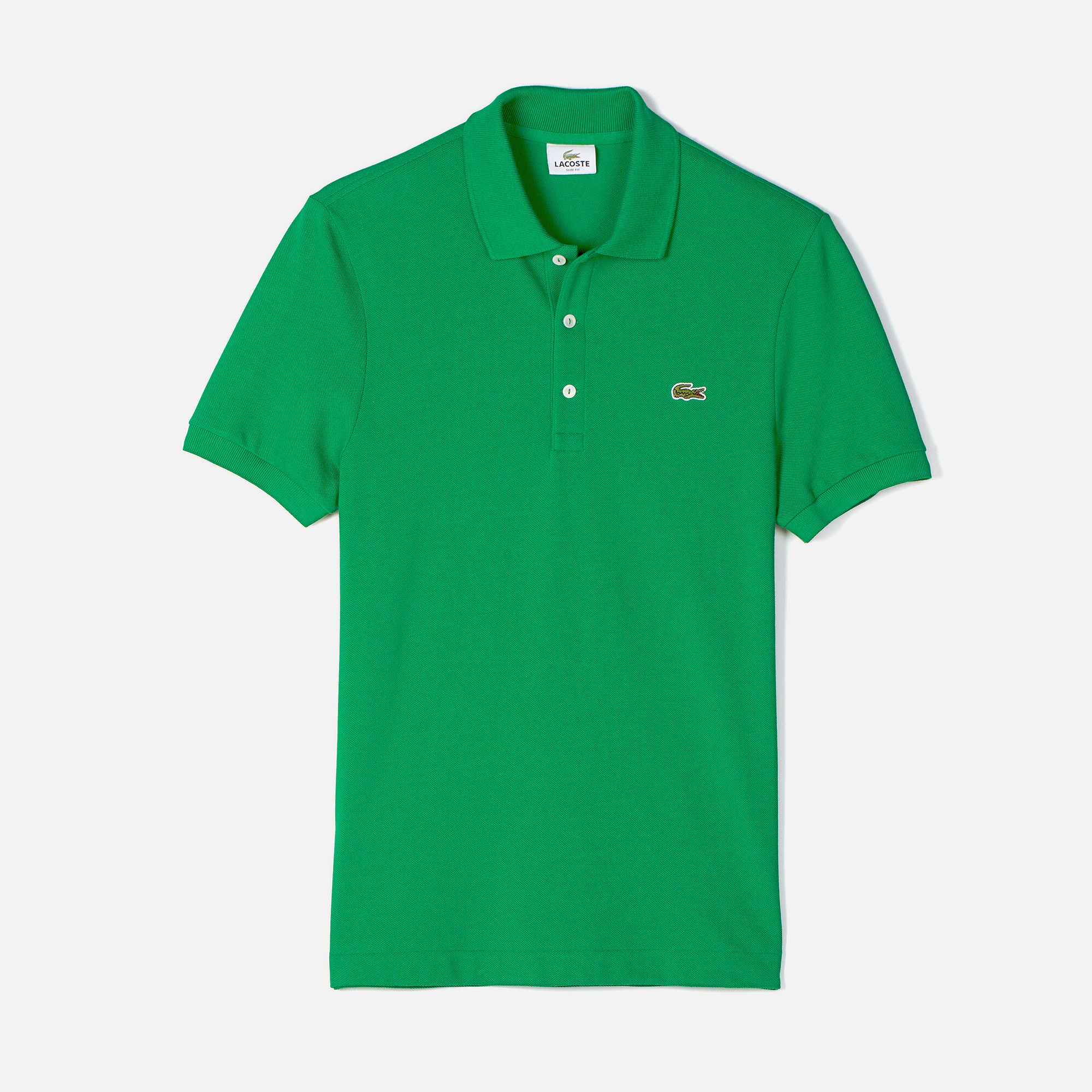 CHLOROPHYLLE GREEN