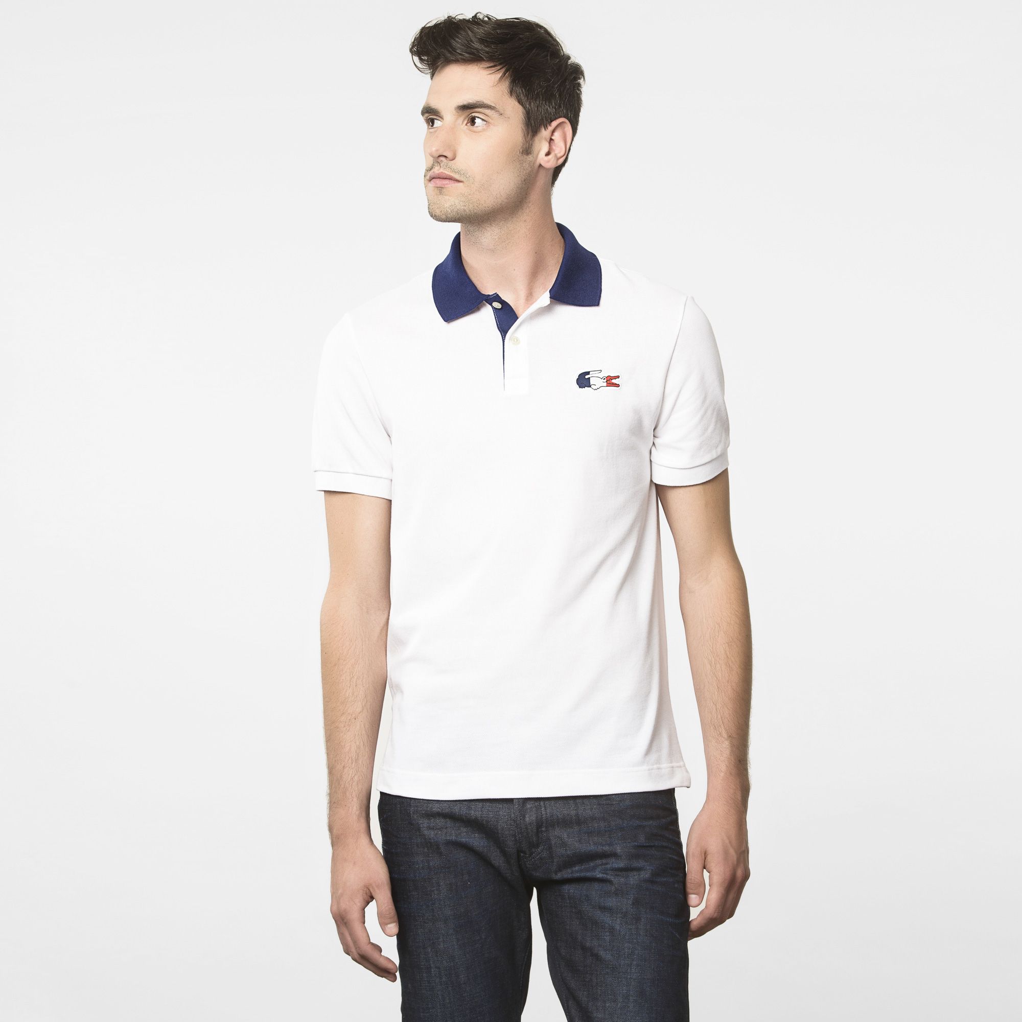  Flags Regular Lacoste polo Men