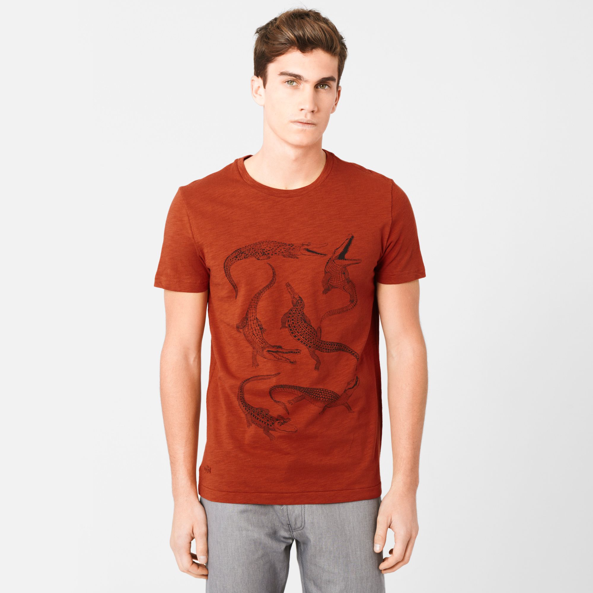 Lacoste Printed tee-shirt Men
